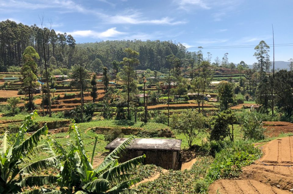 Sri Lanka – Nuwara Eliya