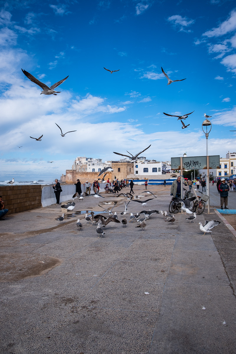 Essaouira, Morocco