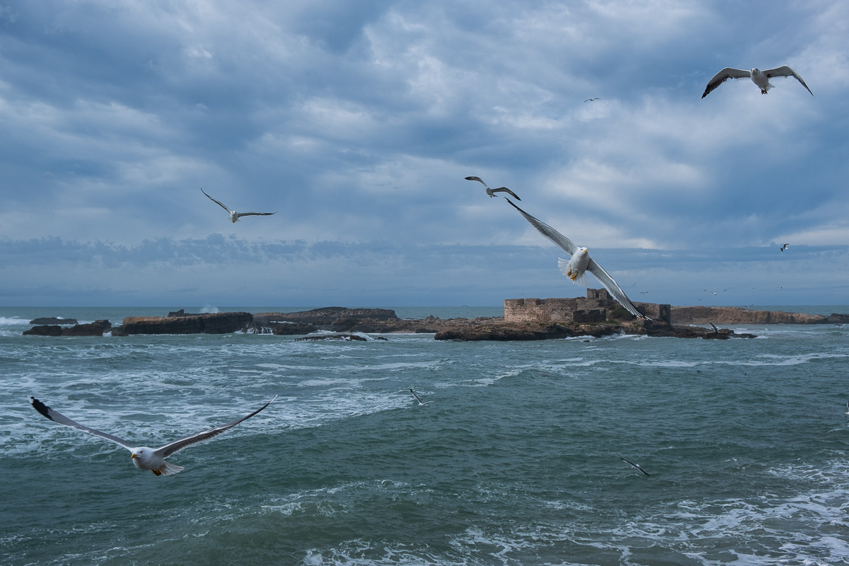 Essaouira, Marokko