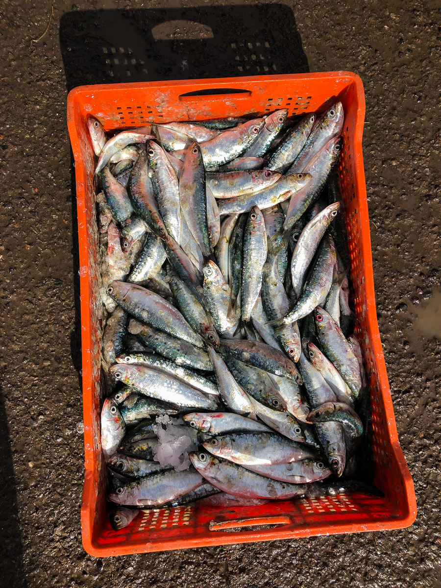 Essaouira, Morocco