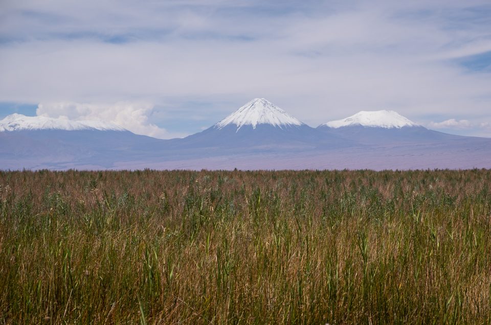 Chile – a first taste of South America