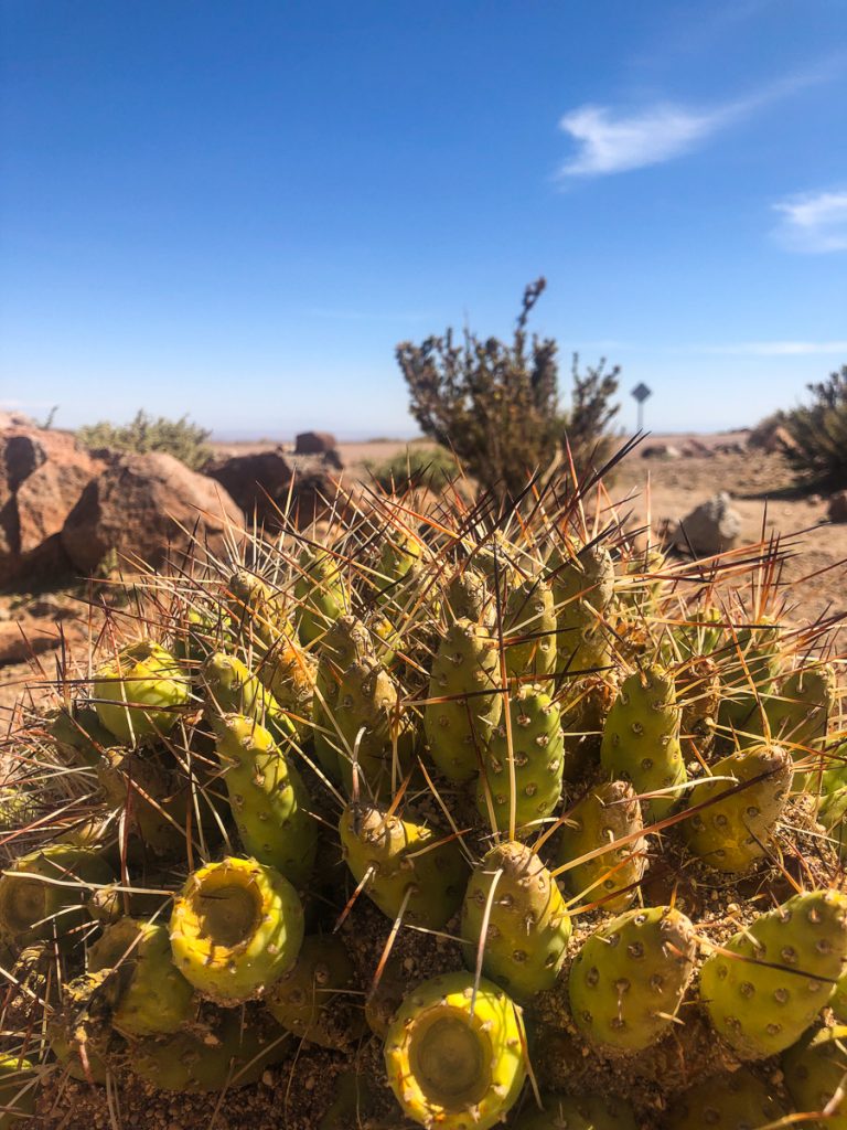 San Pedro de Atacama