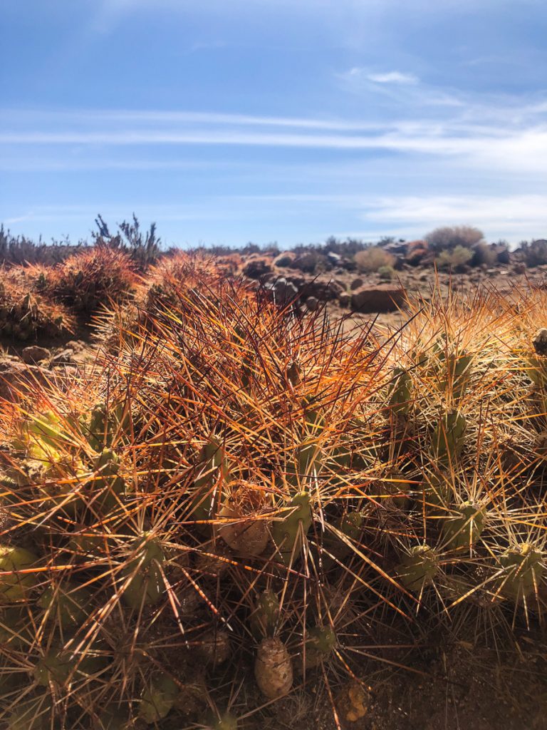 San Pedro de Atacama