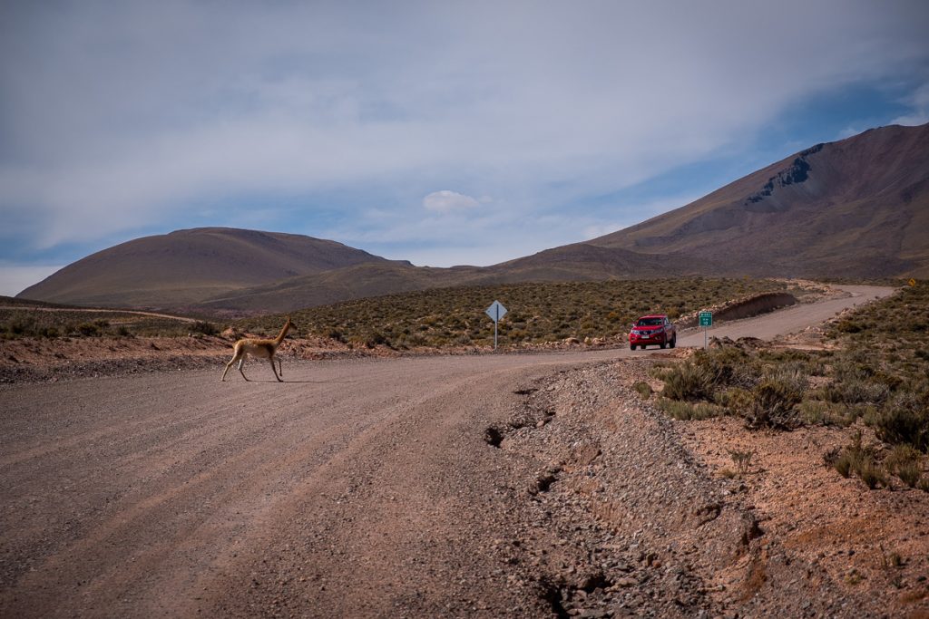 San Pedro de Atacama