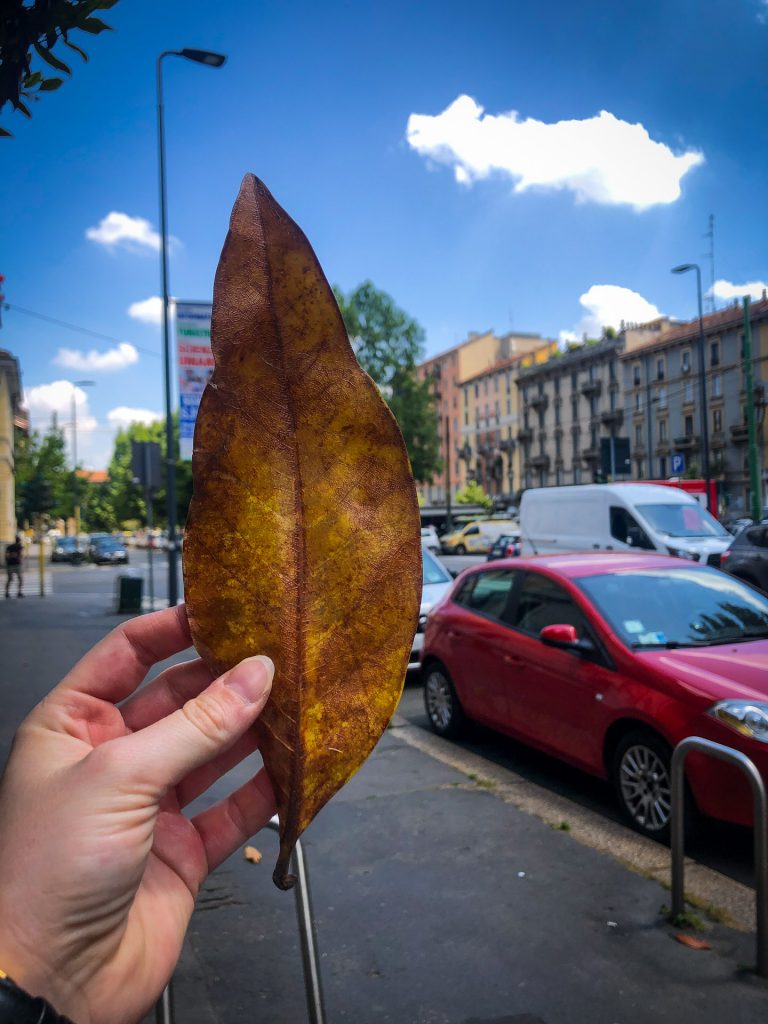 Milan, Milano, Italy