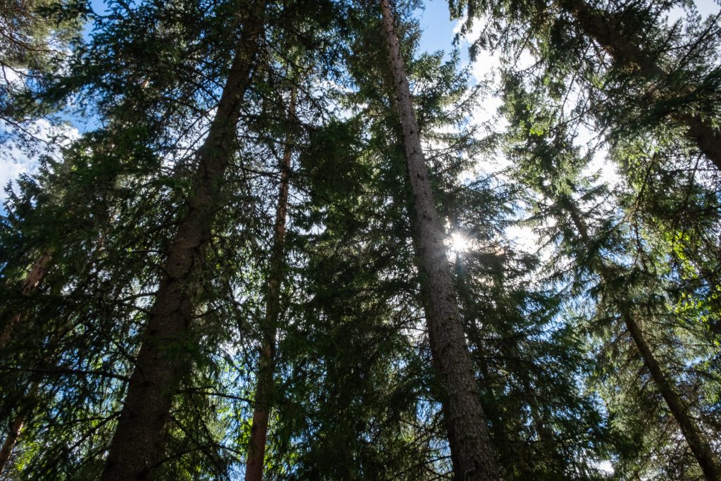 Furudal Näsets Marcusgård Dalarna Sverige