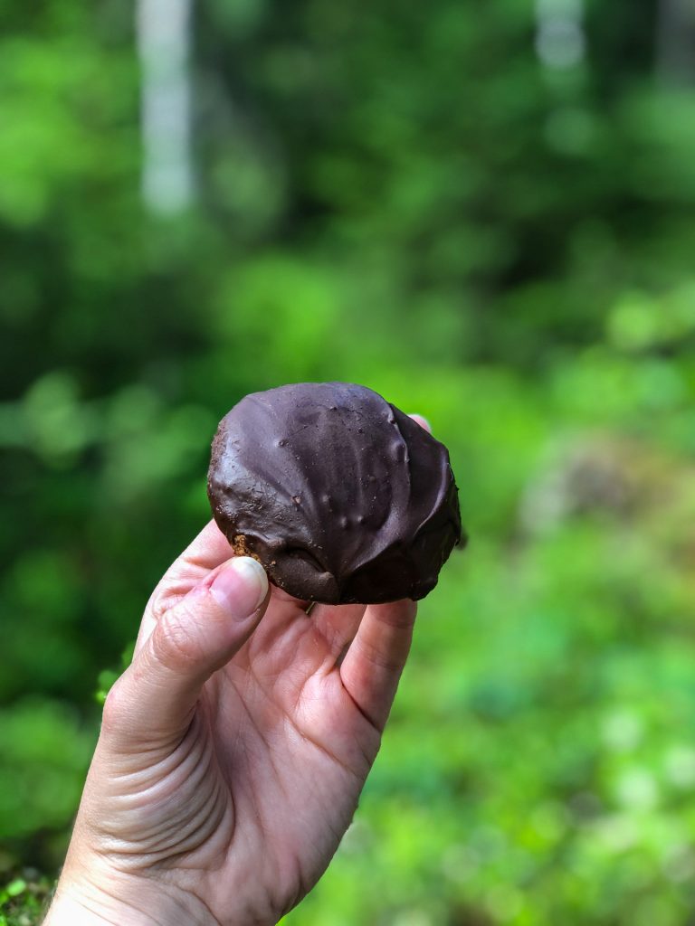 Fika hos Näsets Marcusgård Dalarna Sverige