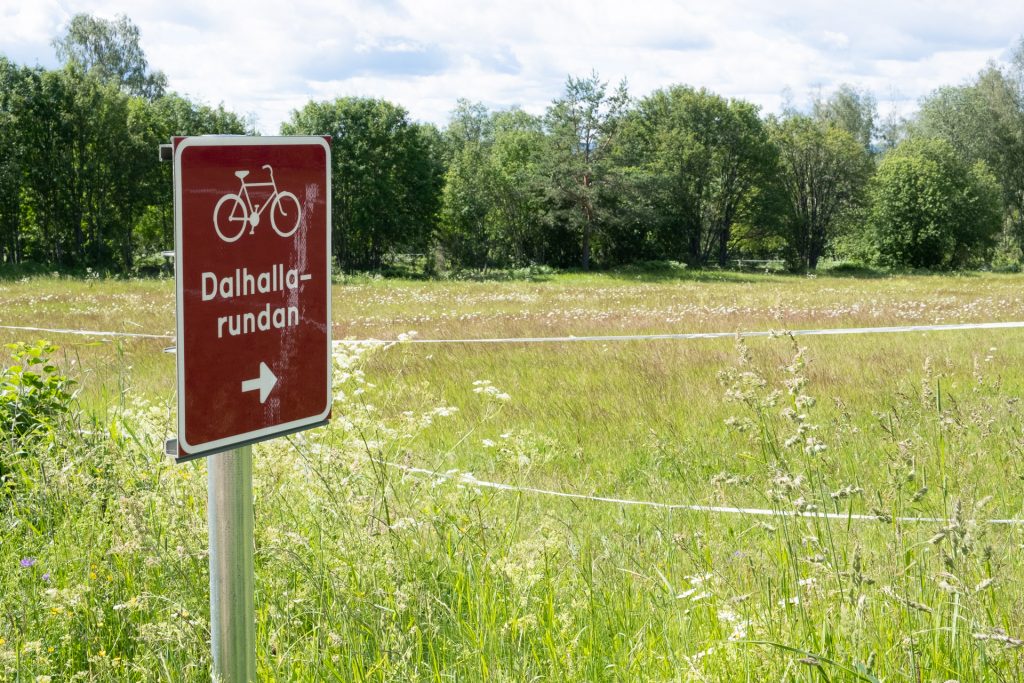 Dalhallarundan Dalhalla Dalarna Rättvik Sverige sykkel sykkelutleie sykkelsti