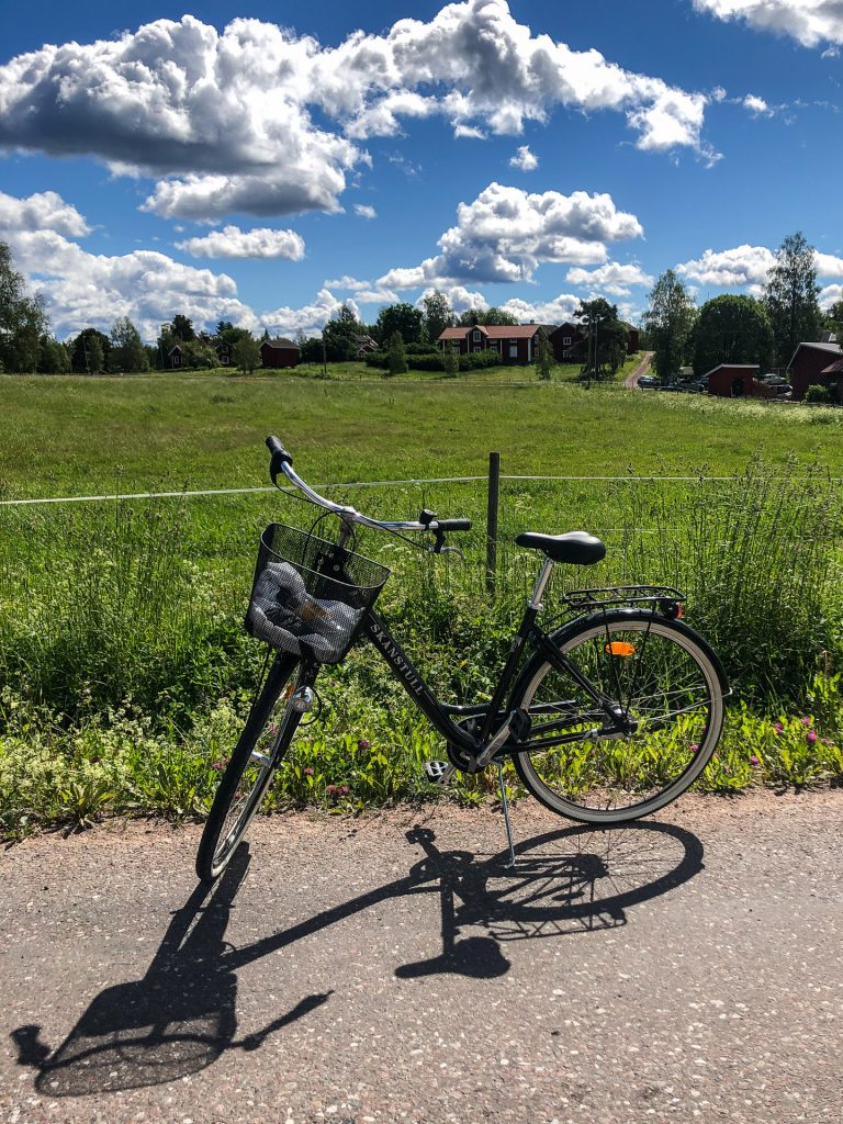 Dalhallarundan biking bike rent Dalarna Sweden Rättvik
