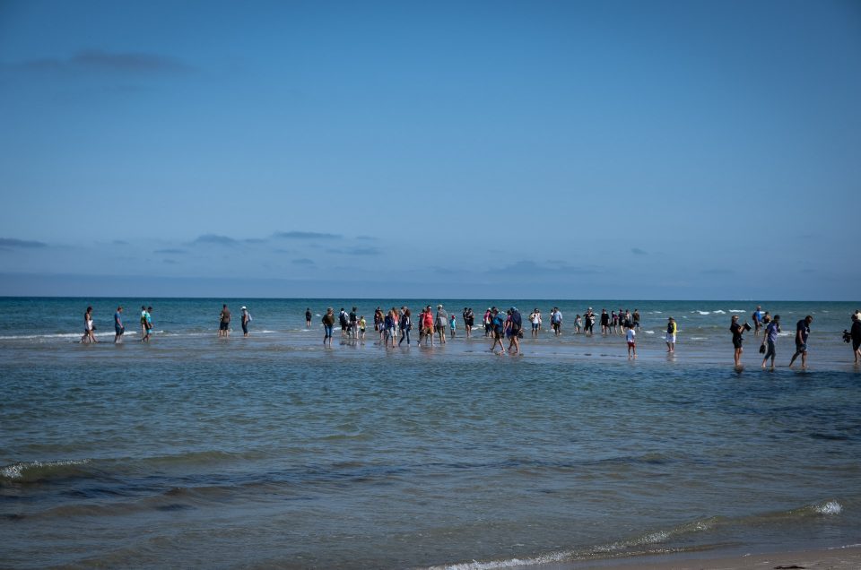 Sommer, saltvann og sand i Skagen