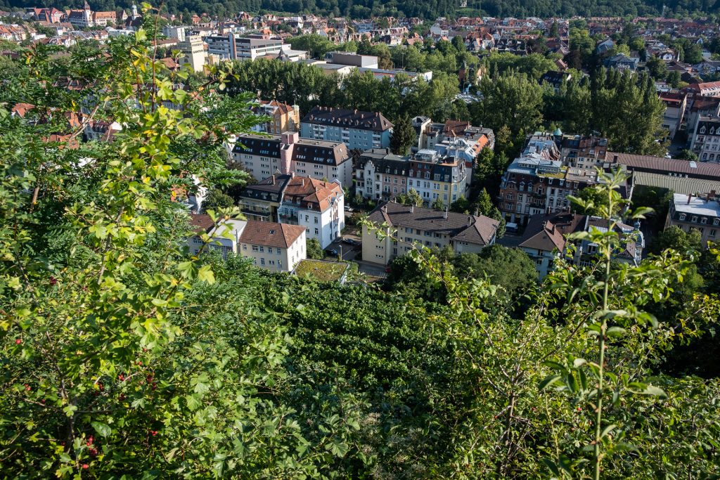 Freiburg im Breisgau , Tyskland Germany, Baden Württemberg, Kastaniegarten, view, houses, pastel