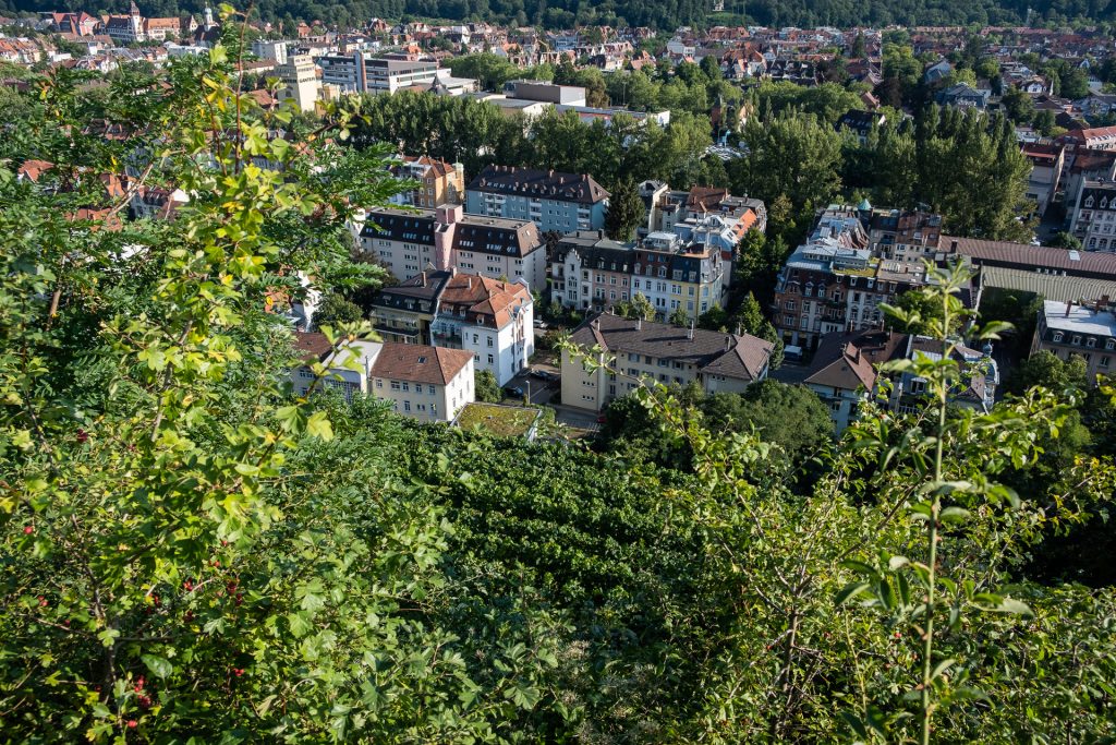 Freiburg im Breisgau , Tyskland Germany, Baden Württemberg, Kastaniegarten, view, houses, pastel