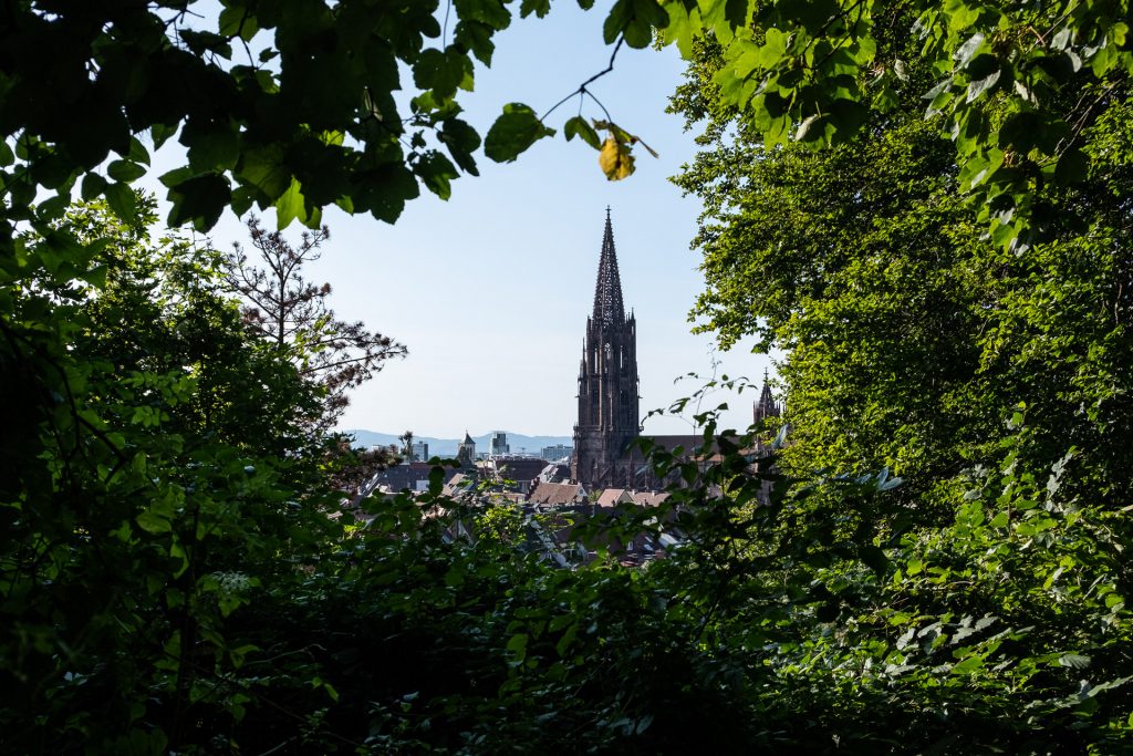 Freiburg im Breisgau , Tyskland Germany, Baden Württemberg, Kastaniegarten, view, Freiburg Minster