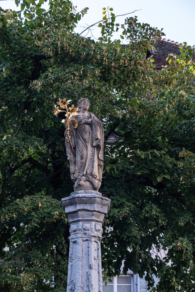 Freiburg im Breisgau , Tyskland Germany, Baden Württemberg