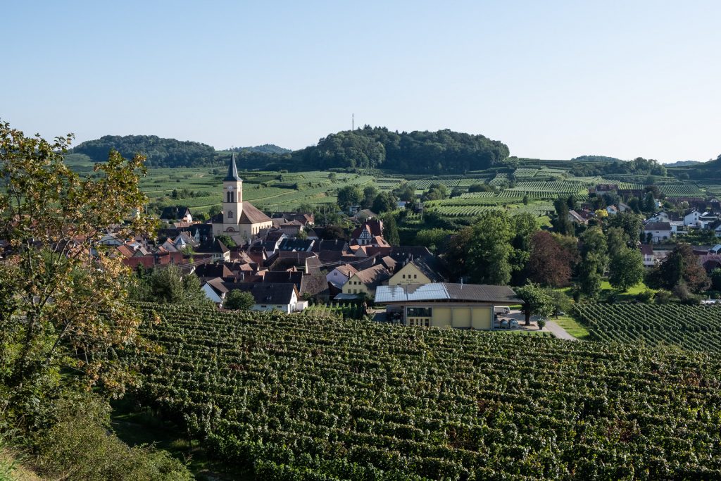 Kaisertstuhl, Tyskland Germany, Baden Württemberg,