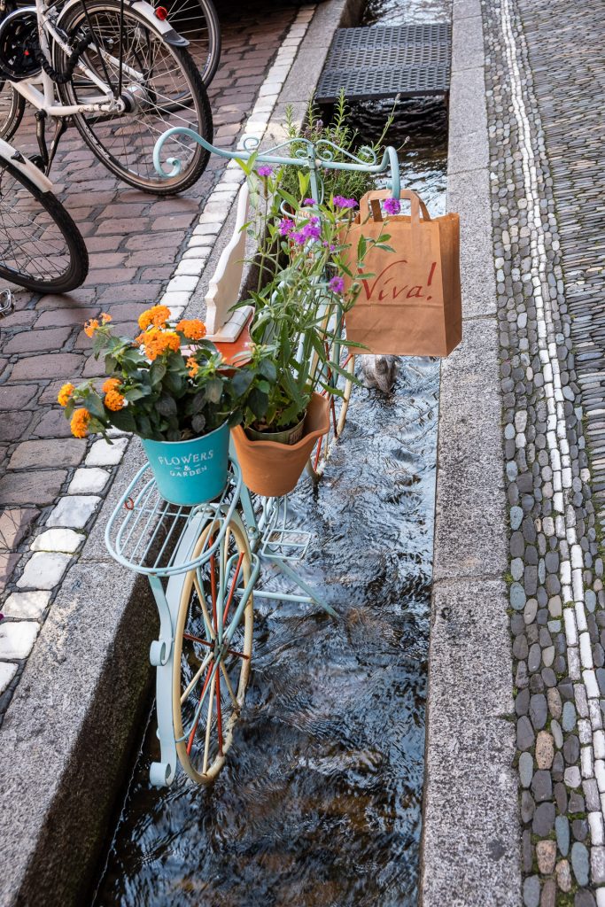 Freiburg im Breisgau , Tyskland Germany, Baden Württemberg, pastel, pastell, gate, kanal, canal, street, bike, bicycle, bächle
