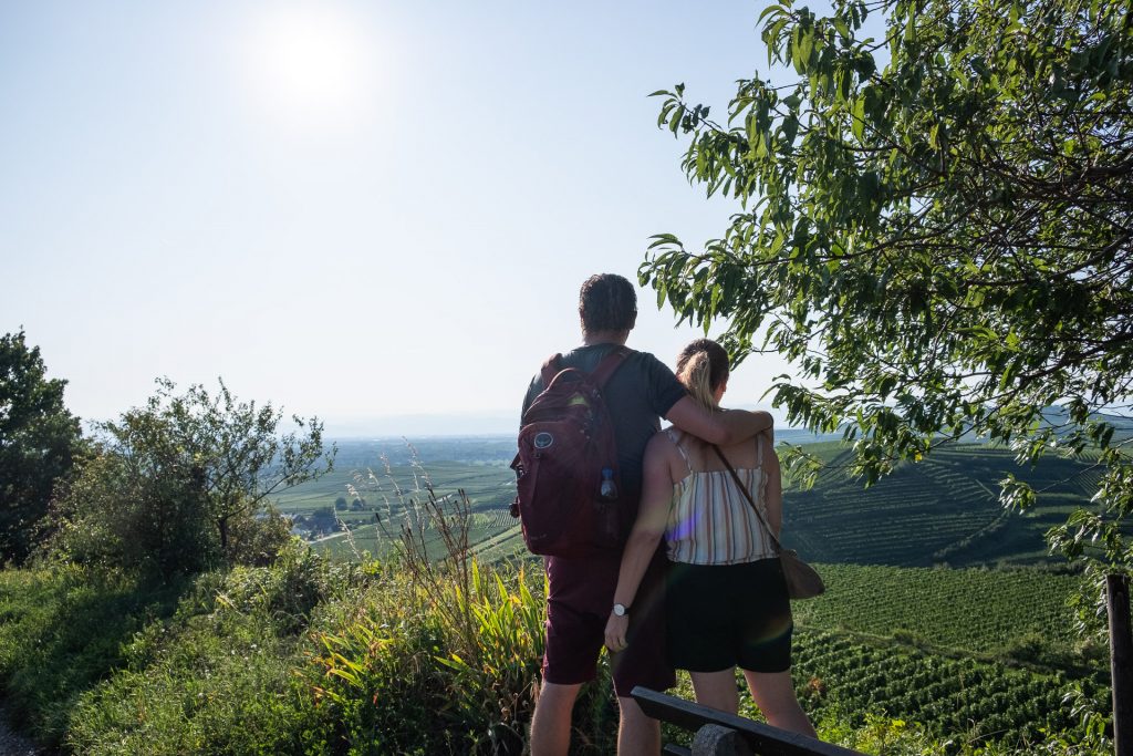 par, reise, Tyskland, Kaiserstuhl, vin, vingård, utsikt