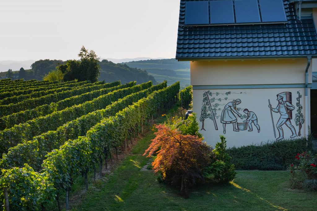 Soldnedgang, vakre farger, sommer, Kaiserstuhl, Tyskland