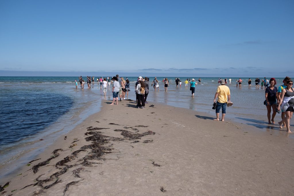 Skagen Jutland Jylland Denmark Grenen