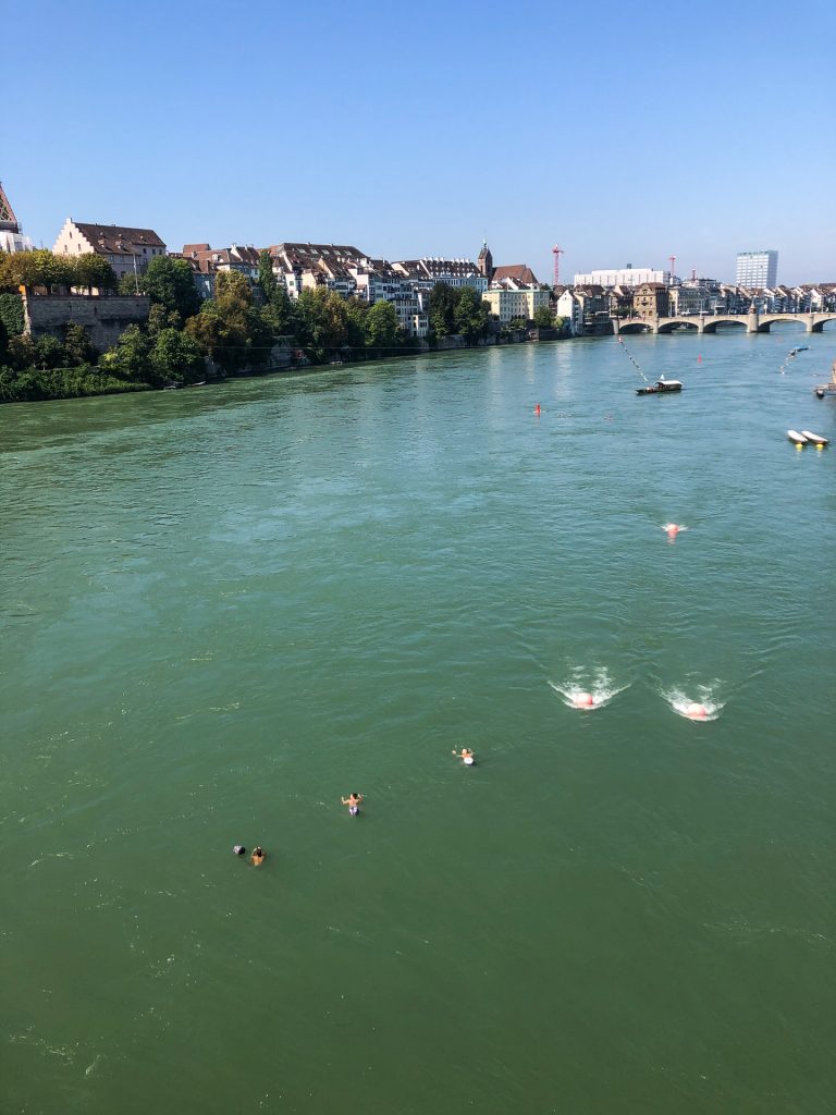 Rhein, Rhine, Switzerland, Sveits, Basel, swimming, floating, summer