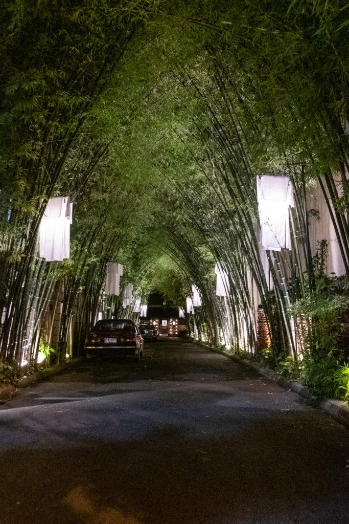 Chiang Mai, Thailand, Loy Krathong, light festival