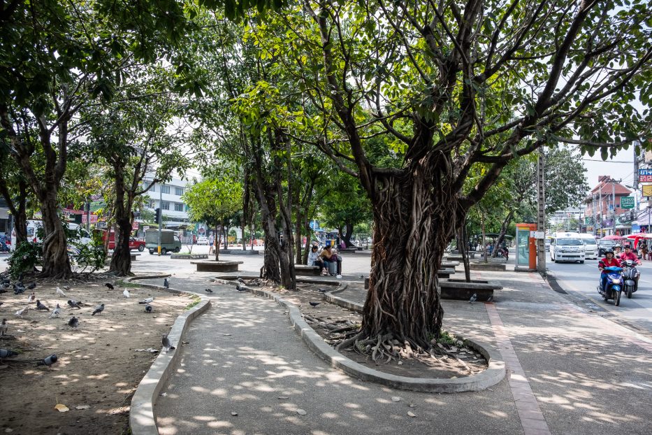 Chiang Mai, Thailand, Asia, city, motorbike, tuktuk