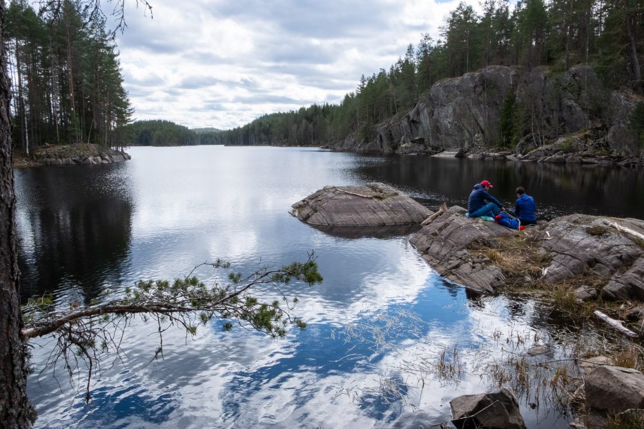 Oslo, Norge, trær, natur, dagsturer, kortreist, lokalt, refleksjon, vann, østmarka