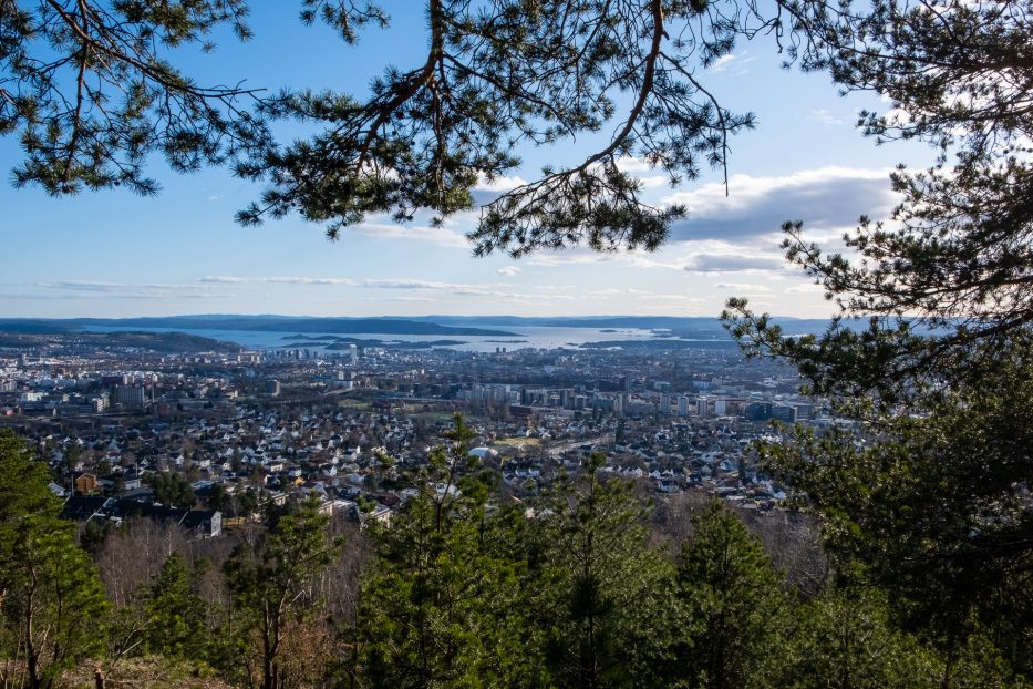 Oslo, Norge, trær, natur, dagsturer, kortreist, lokalt, Grefsenkollen, utsikt