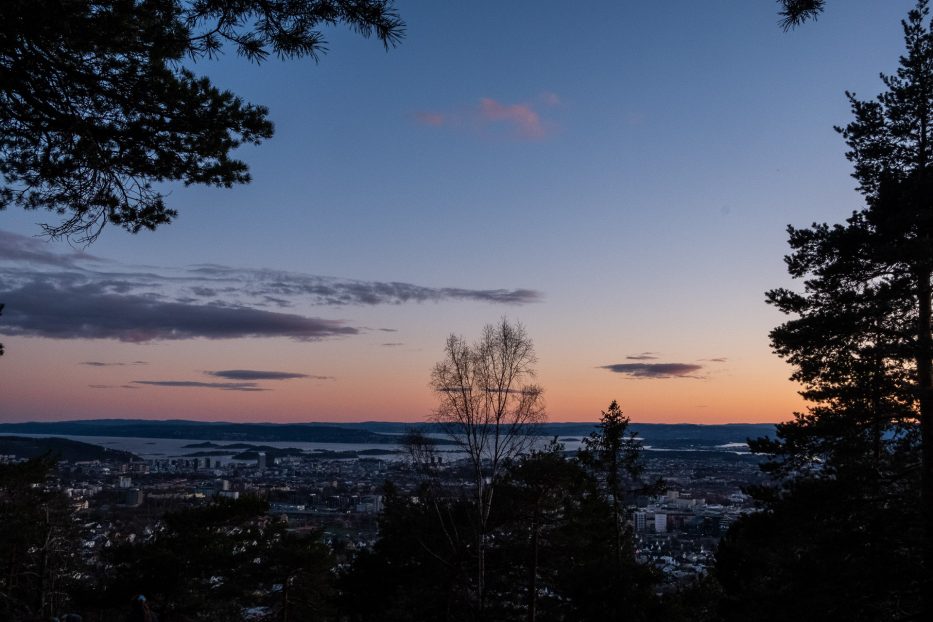 Oslo, Norge, trær, natur, dagsturer, kortreist, lokalt, Grefsenkollen, solnedgang, utsikt