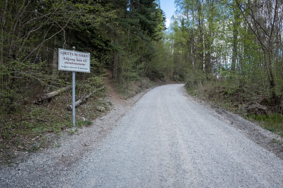 Oslo, Oslomarka, forest, trees, hike, hiking, trees, nature, local, travel, Kolsåstoppen, Oslo, Bærum, Gjettum Gård