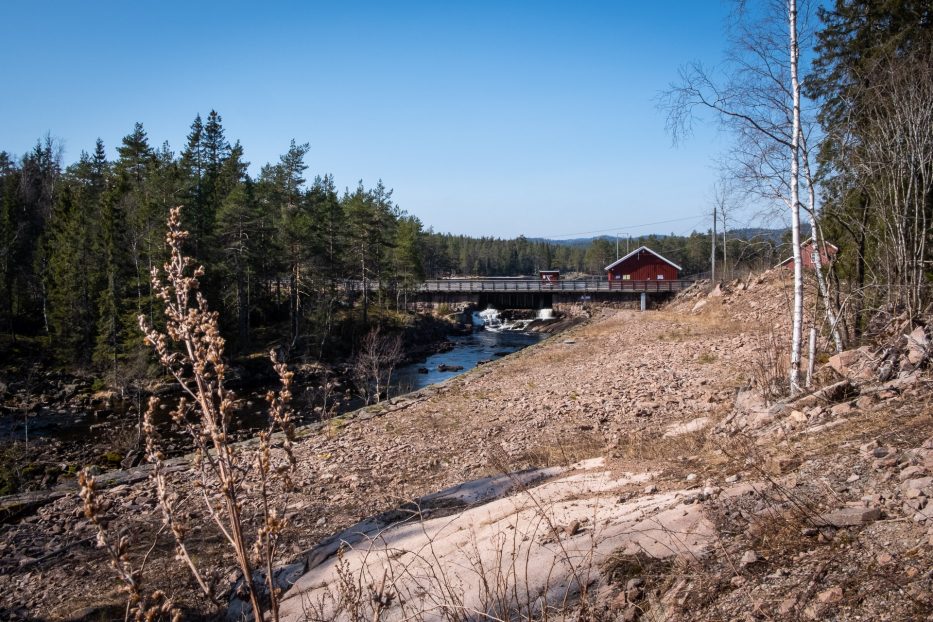 Oslo, Norge, trær, natur, dagsturer, kortreist, lokalt, Skjærsjødammen, hytte