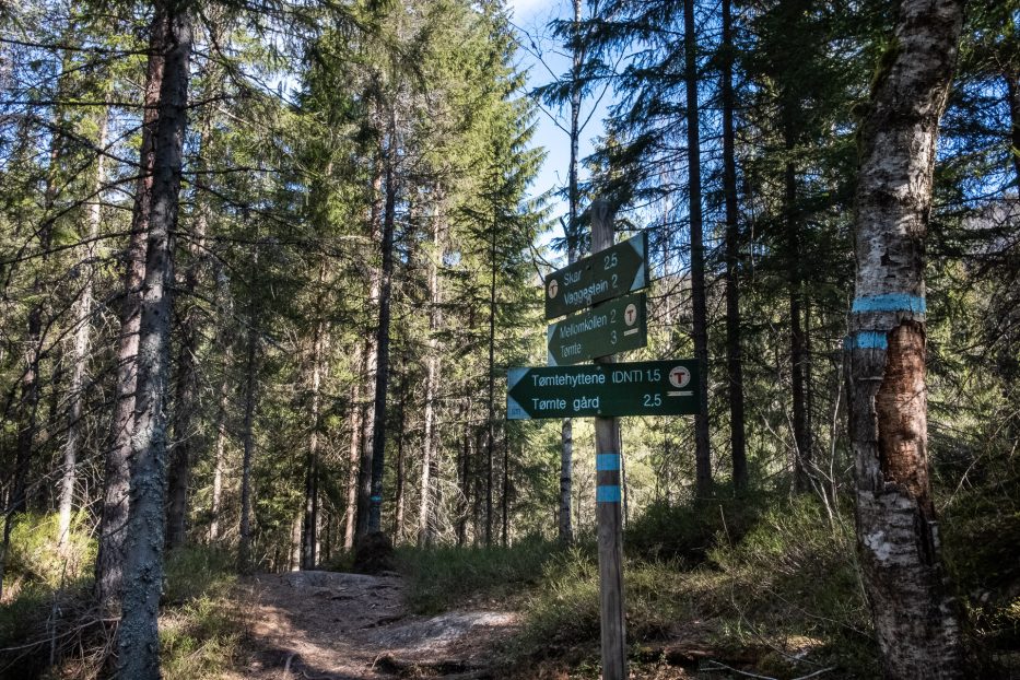 Oslo, Oslomarka, forest, trees, hike, hiking, trees, nature, local, travel, signs, DNT,