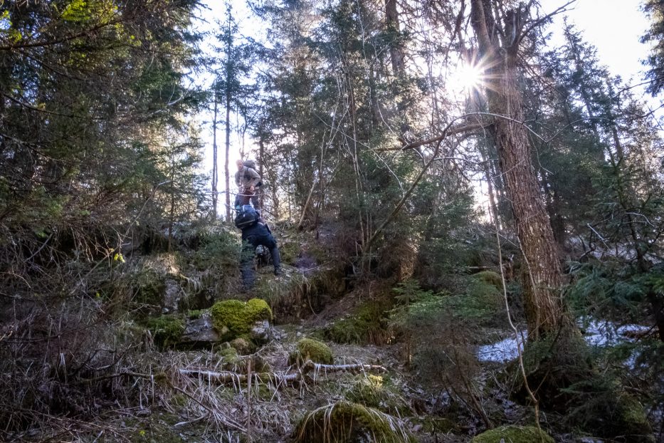 Oslo, Oslomarka, forest, trees, hike, hiking, trees, nature, local, travel, hiking, Maridalen