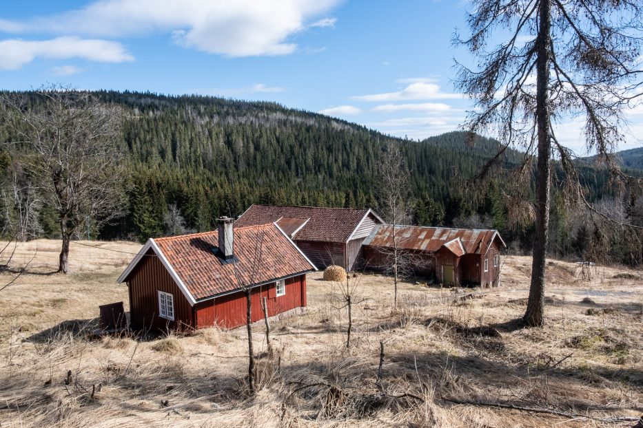 Oslo, Norge, trær, natur, dagsturer, kortreist, lokalt, Maridalen, hytter, hus