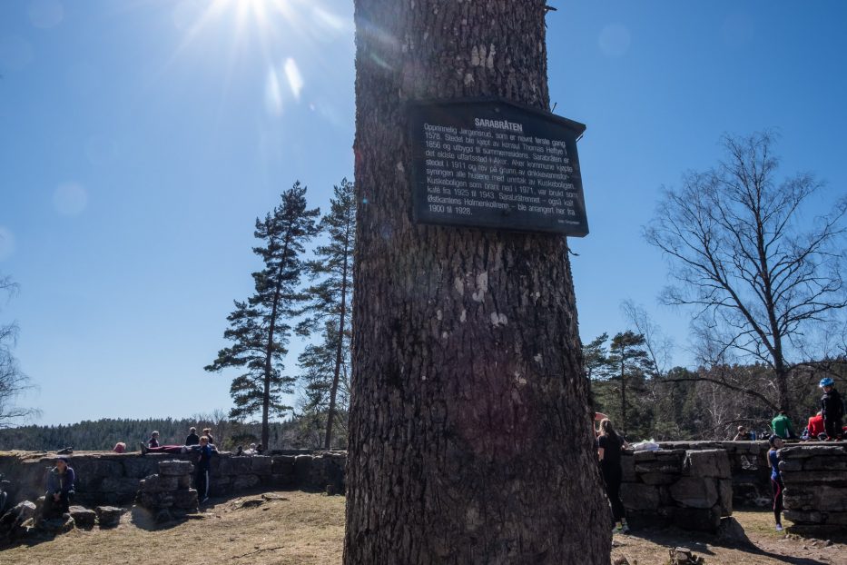 Oslo, Norge, trær, natur, dagsturer, kortreist, lokalt, østmarka, Sarabråten