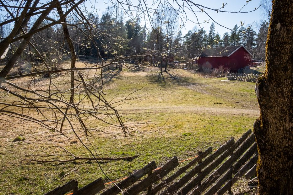 Oslo, Norge, trær, natur, dagsturer, kortreist, lokalt, Rustadsaga, Østmarka