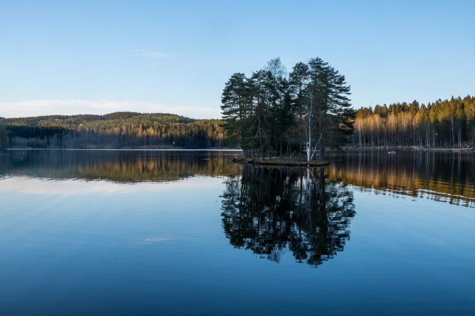 Oslo, Norge, trær, natur, dagsturer, kortreist, lokalt, Sognsvann, Nordmarka, refleksjon