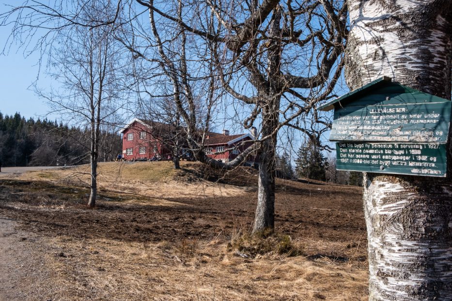 Oslo, Norge, trær, natur, dagsturer, kortreist, lokalt, Nordmarka, Ullevålseter