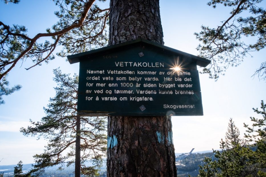 Oslo, Norge, trær, natur, dagsturer, kortreist, lokalt, Vettakollen, skilt, flare