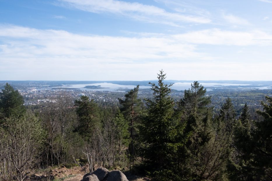 Oslo, Norge, trær, natur, dagsturer, kortreist, lokalt, Vettakollen, utsikt, topptur, 