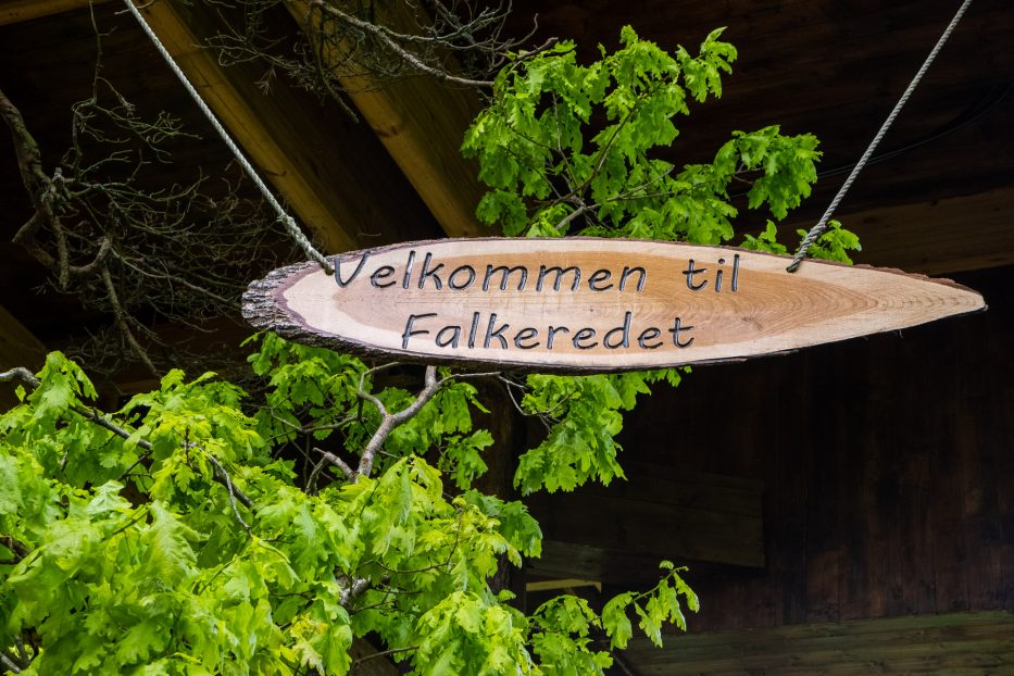 Tretopphytter Oslofjord, Norge, tretopphytte, Falkeredet, natur, skilt