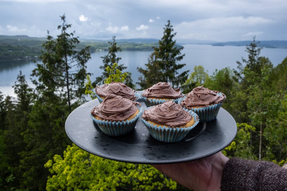 Tretopphytter Oslofjord, Norway, treetop cabin, nature, view, cupcakes