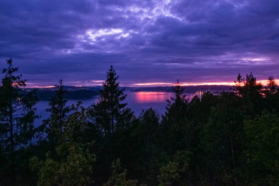 Tretopphytter Oslofjord, Norge, tretopphytte, natur, utsikt, solnedgang, Oslofjorden