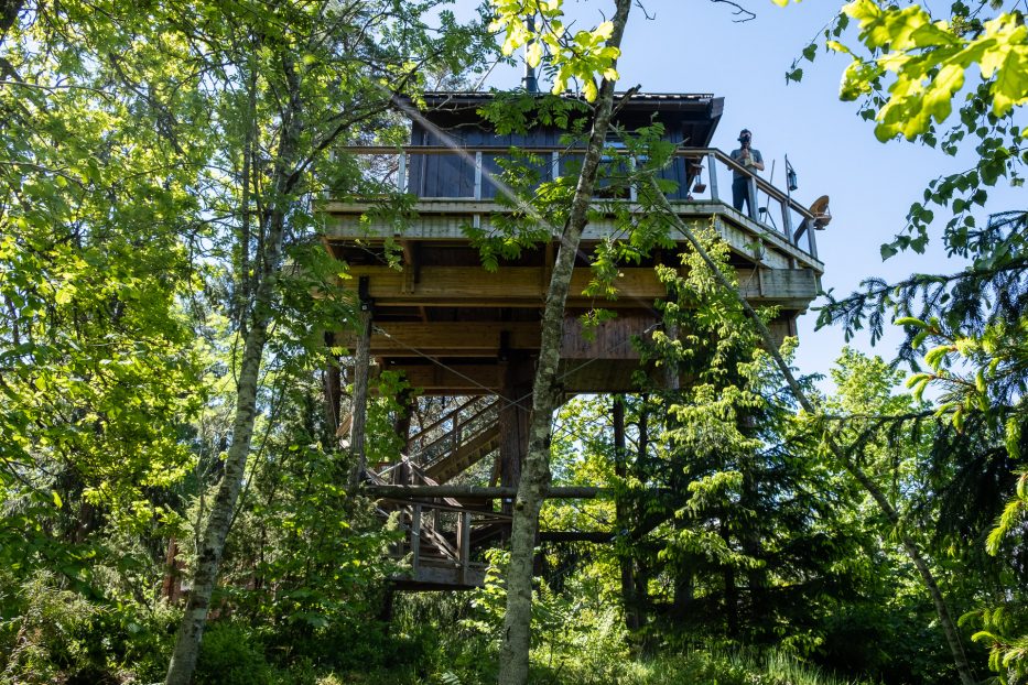 Tretopphytter Oslofjord, Norway, treetop cabin, nature, view, Falkeredet