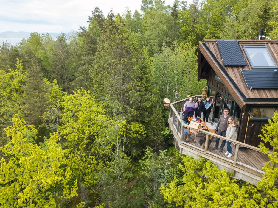 Tretopphytter Oslofjord, Norge, tretopphytte, natur, utsikt, Falkeredet