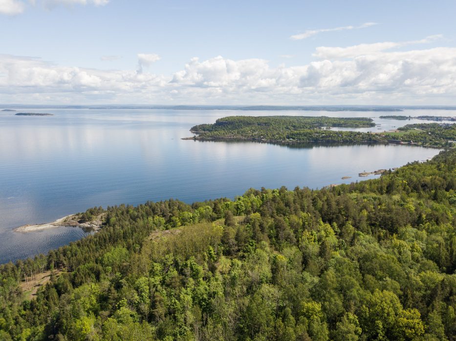 Tretopphytter Oslofjord, Norge, tretopphytte, natur, utsikt