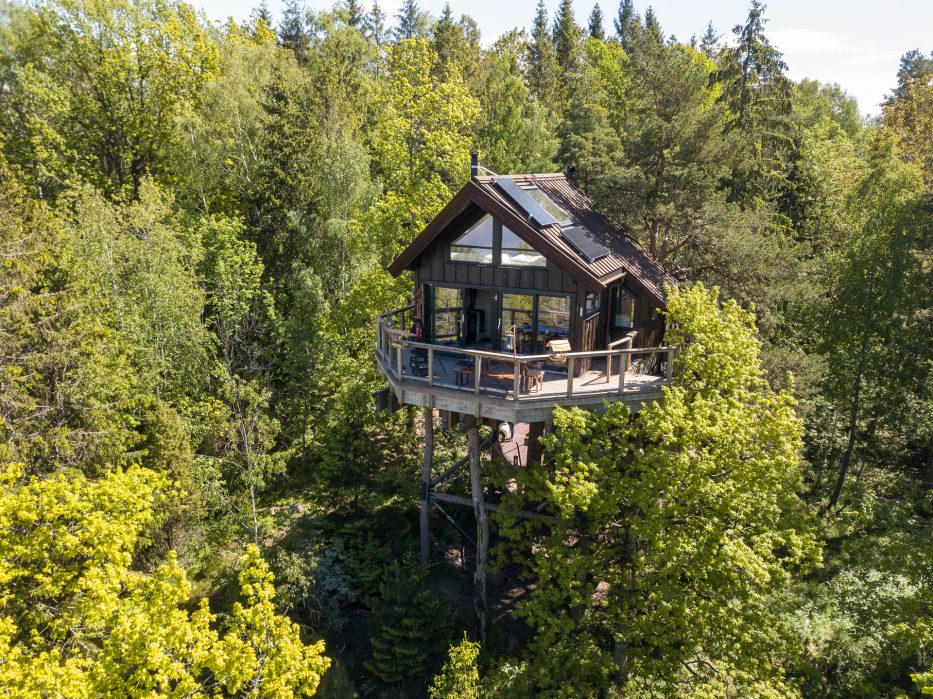 Tretopphytter Oslofjord, Norway, treetop cabin, nature, view, Falkeredet