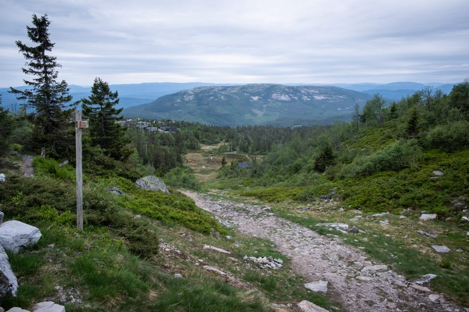 Lifjell, Bø i Telemark, forest, mountains, trees, nature