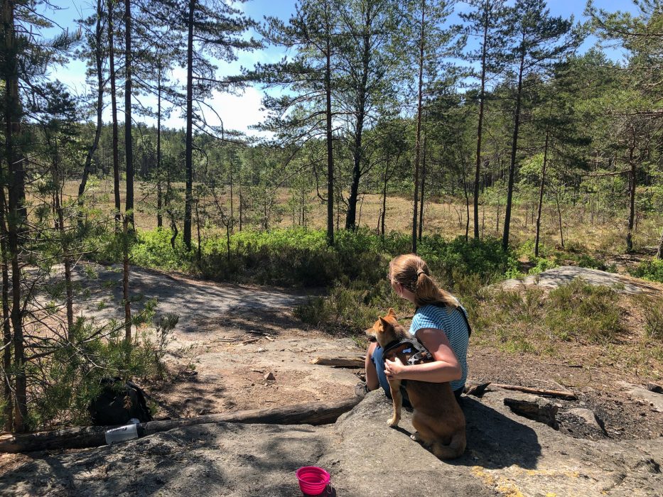 Kvinne og Shiba-hund sitter sammen i skogen