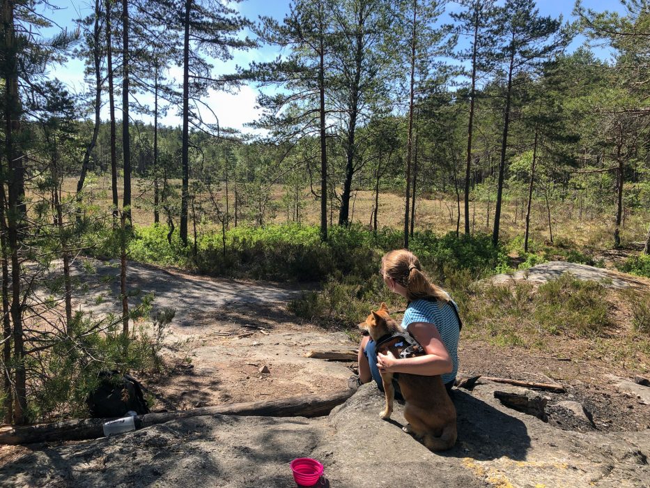 woman and shiba dog sitting together in Oslomarka